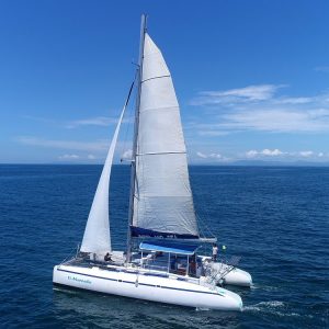 Catamaran tour