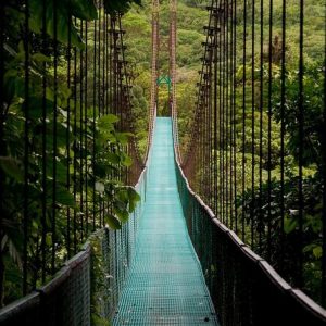 Hanging bridges tour