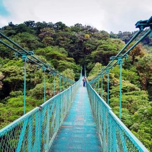 Hanging bridges tour