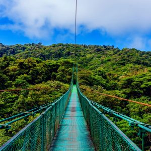 Hanging bridges walking tour