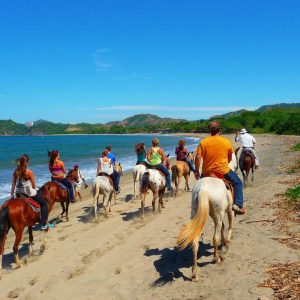 Horseback riding tour