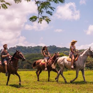 Horseback riding tour