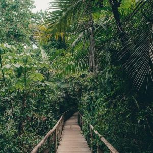 Manuel Antonio National Park