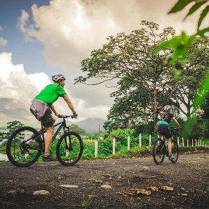 Mountain Biking tours