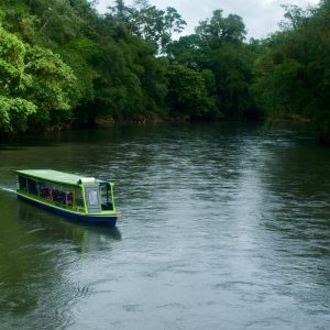 Sarapiqui River by Boat Safary