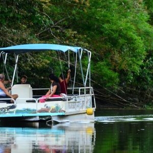 Sierpe Terraba Mangrove Forest boat safari