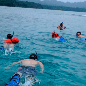 Snorkeling tour (depends on weather)
